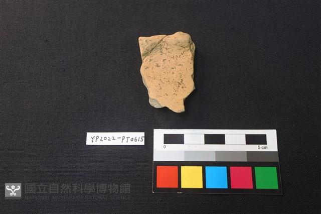 陶片藏品圖，第2張