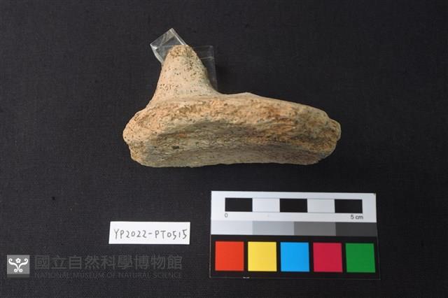 陶片藏品圖，第2張
