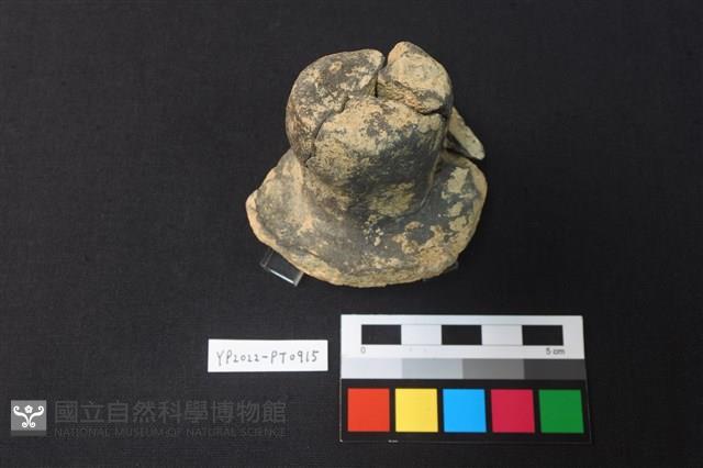 陶蓋鈕藏品圖，第2張