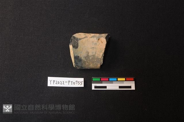 陶片藏品圖，第2張