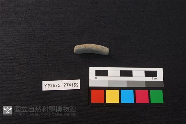 陶環藏品圖，第2張