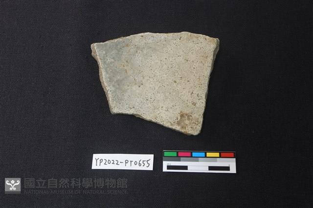陶片藏品圖，第2張