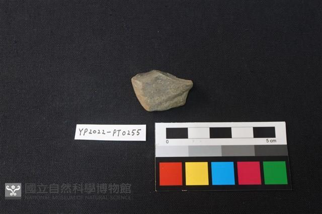 陶片藏品圖，第2張