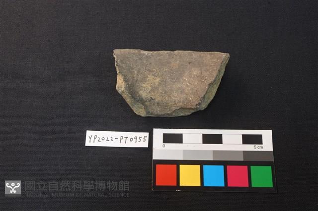 Accession Number:YP2022-PT0955 Collection Image