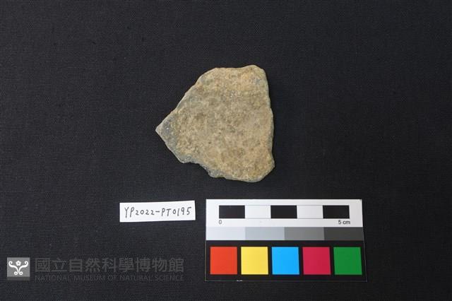 陶片藏品圖，第2張