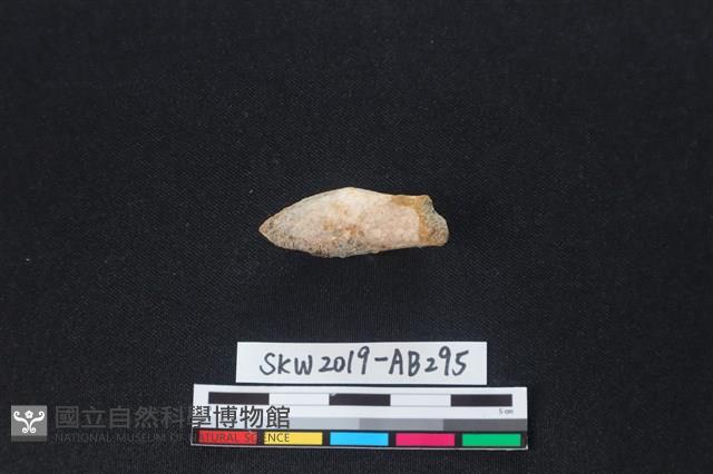 獸骨藏品圖，第2張