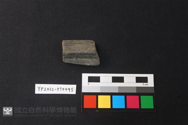 陶片藏品圖，第2張