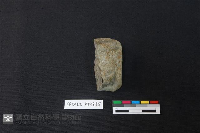 陶片藏品圖，第2張