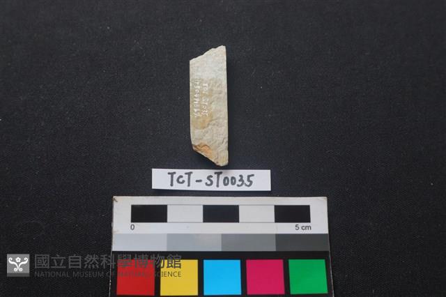 錛鑿形器藏品圖，第2張