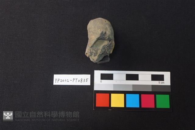 陶鈕藏品圖，第2張