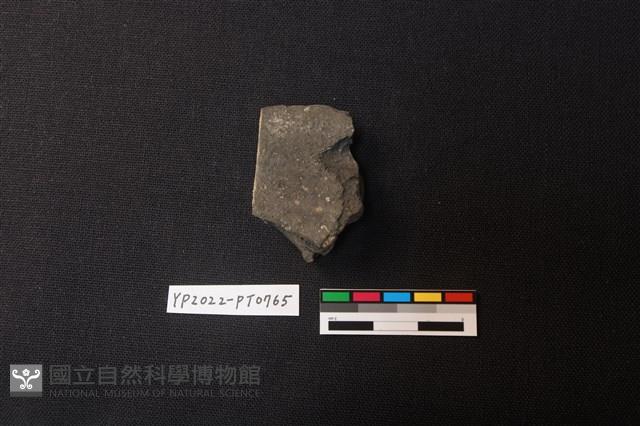 陶片藏品圖，第2張