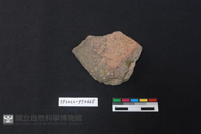 陶片藏品圖，第2張