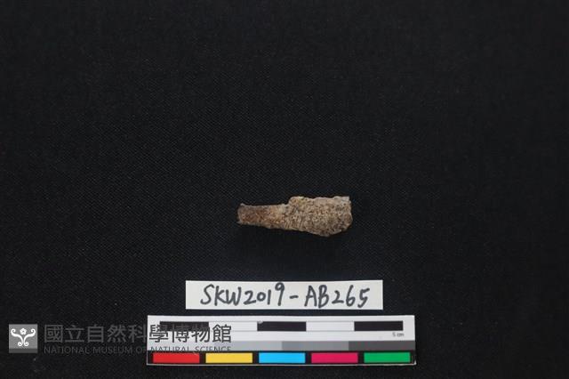 獸骨藏品圖，第2張