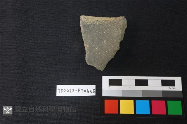 陶片藏品圖，第2張