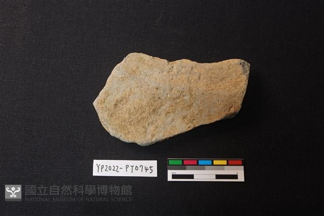 陶片藏品圖，第2張