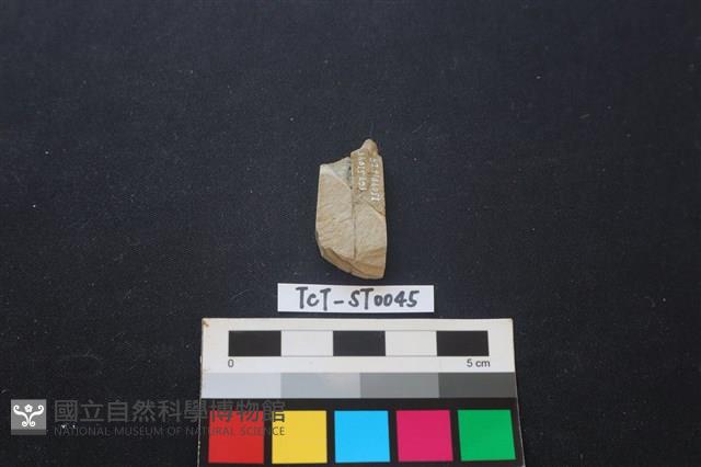 錛鑿形器藏品圖，第2張