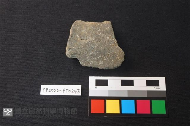 陶片藏品圖，第2張