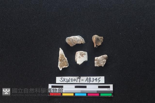 獸骨藏品圖，第2張