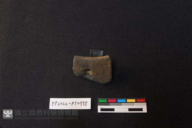陶片藏品圖，第2張