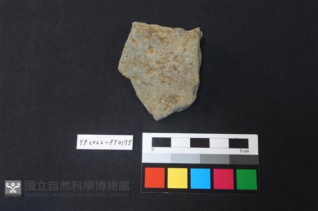 陶片藏品圖，第2張