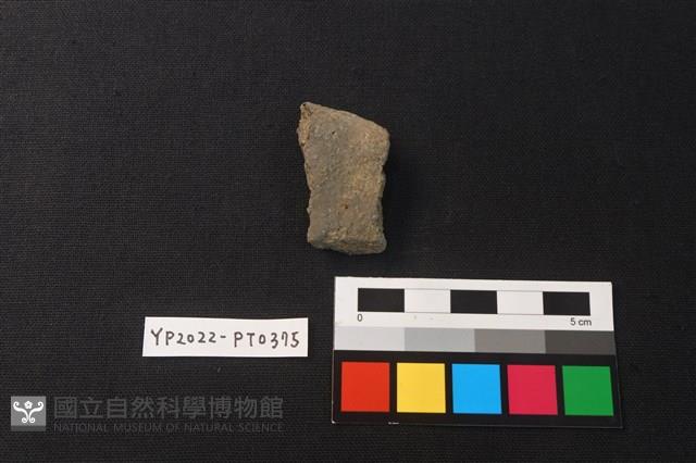 陶片藏品圖，第2張