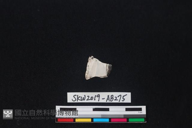 獸骨藏品圖，第2張