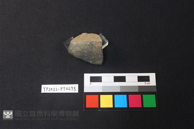 陶片藏品圖，第2張