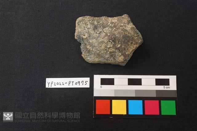 陶片藏品圖，第2張
