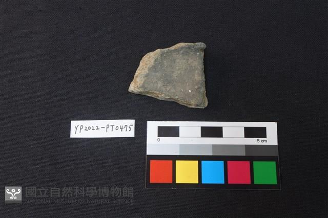 陶片藏品圖，第2張