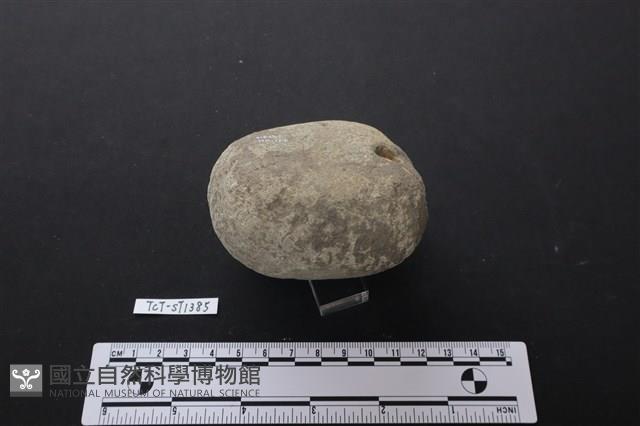 石鎚藏品圖，第2張