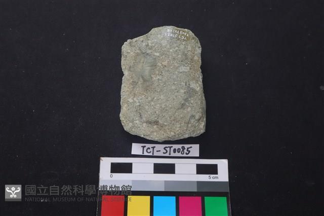 磨製斧鋤形器藏品圖，第2張