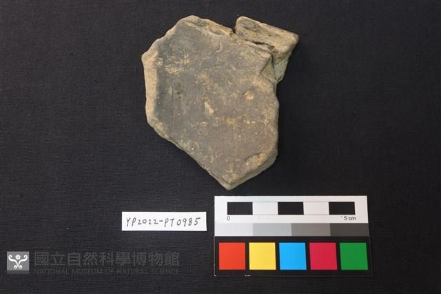 陶片藏品圖，第2張