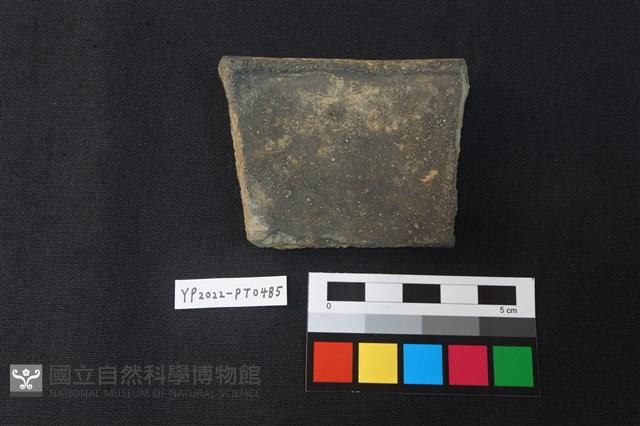 陶片藏品圖，第2張