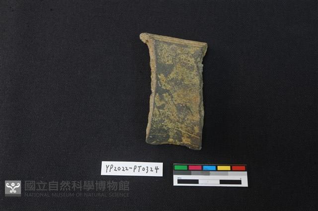陶片藏品圖，第2張