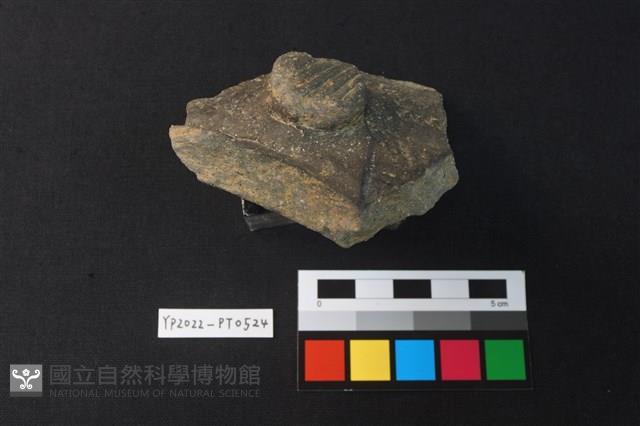 陶片藏品圖，第2張