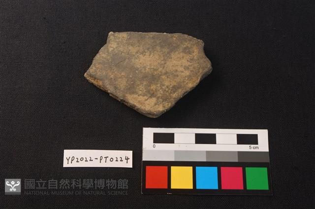 陶片藏品圖，第2張