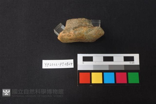 陶鈕藏品圖，第2張
