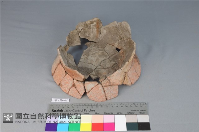 陶罐藏品圖，第2張