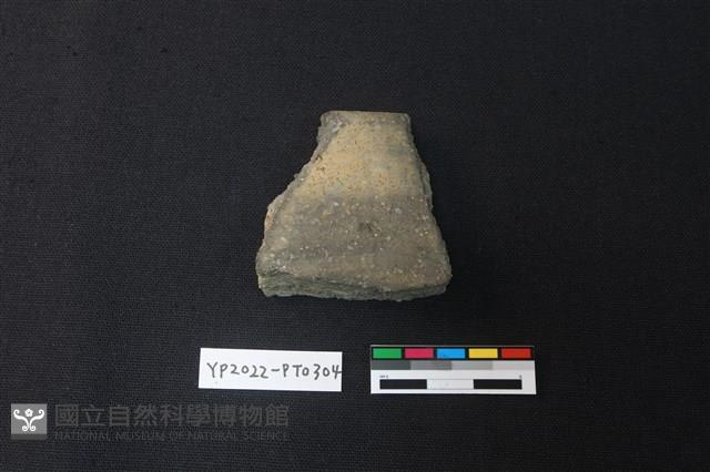 陶片藏品圖，第2張