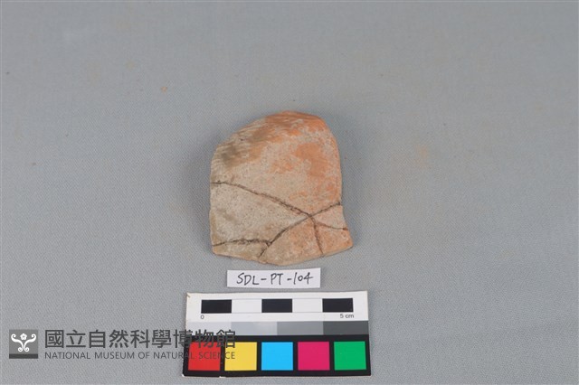 陶片藏品圖，第2張