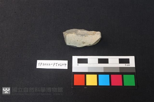 陶片藏品圖，第2張