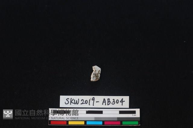 獸骨藏品圖，第2張