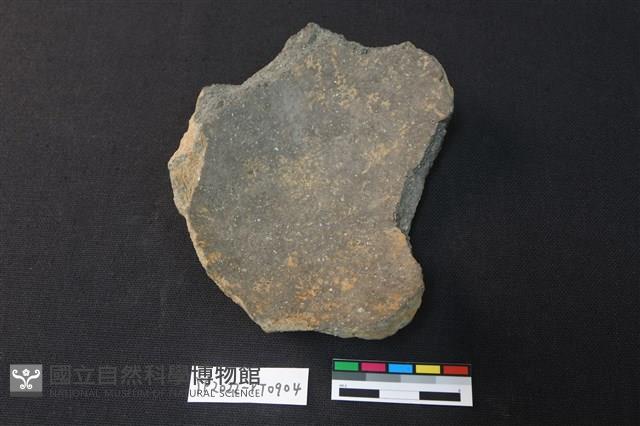陶片藏品圖，第2張