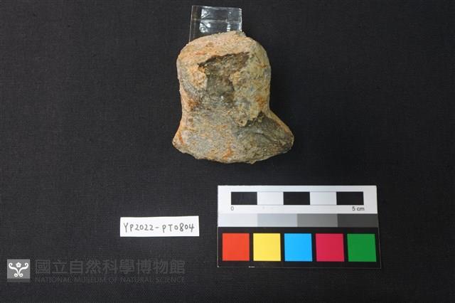 蓋鈕藏品圖，第2張