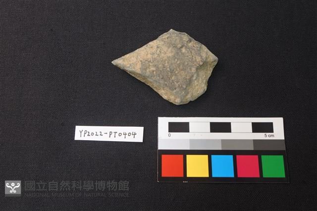 陶片藏品圖，第2張