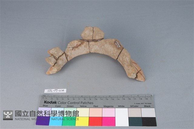 陶罐藏品圖，第2張