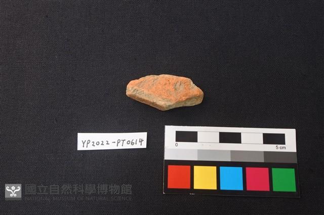 陶片藏品圖，第2張