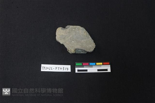 陶片藏品圖，第2張