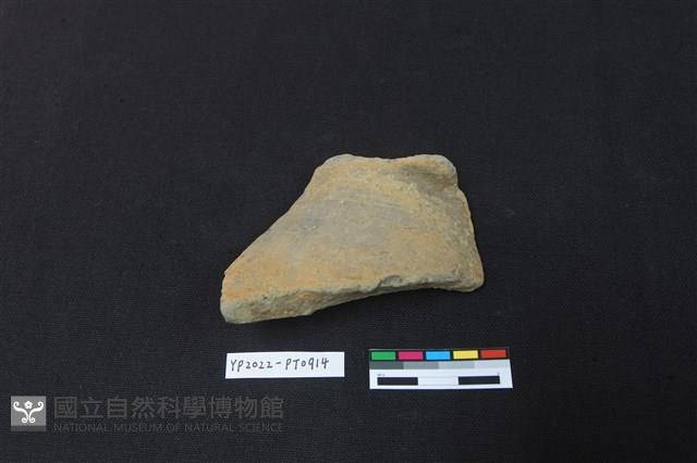陶片藏品圖，第2張