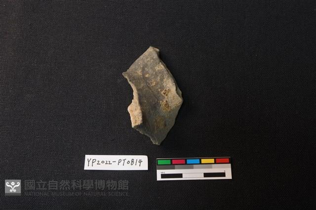 陶片藏品圖，第2張